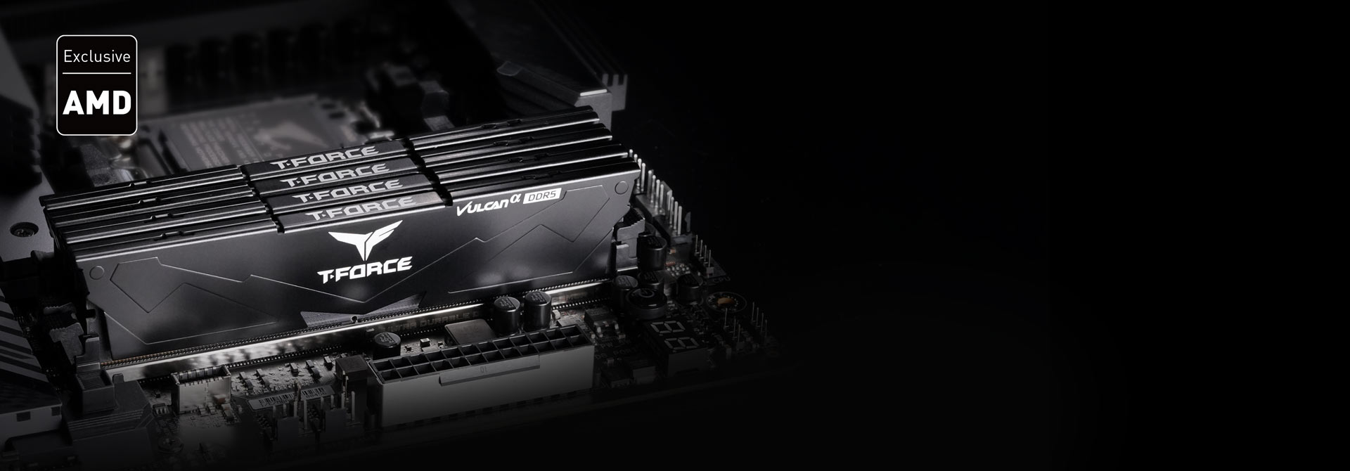 Exclusive DDR5 memory for AMD Exclusive DDR5 memory for AMD