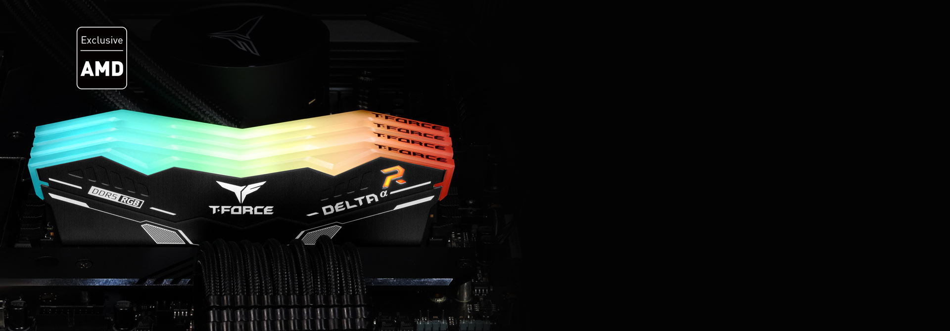 Exclusive DDR5 memory for AMD Exclusive DDR5 memory for AMD