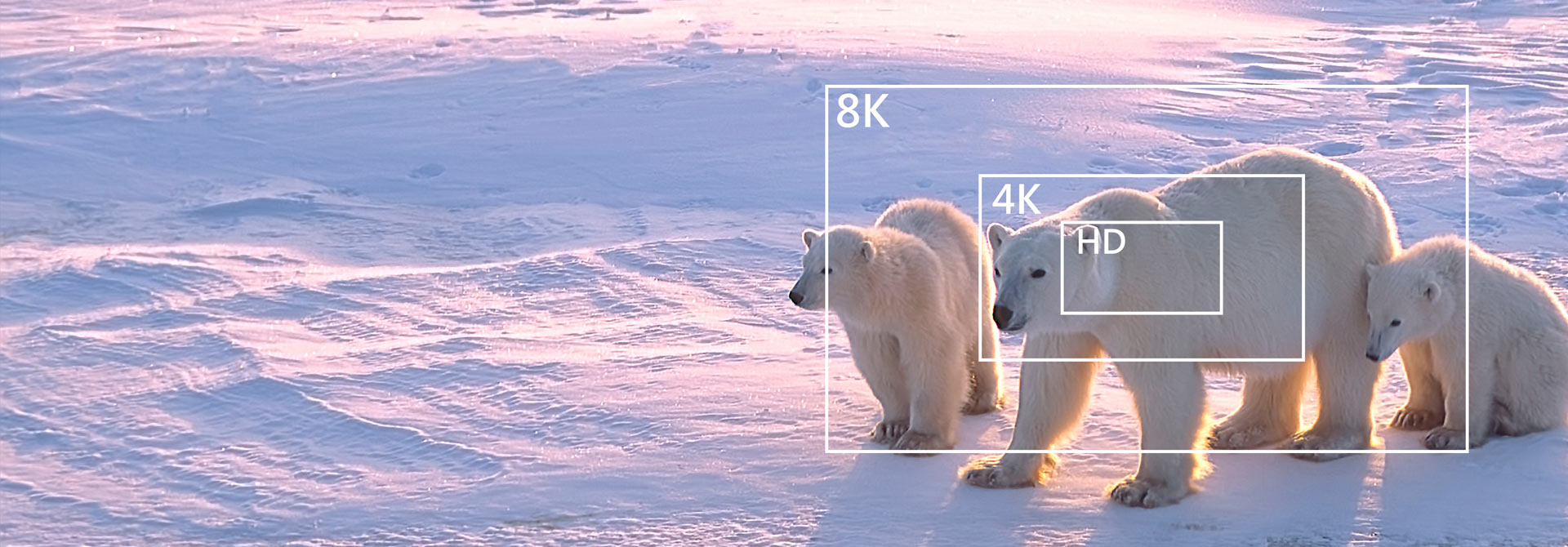 Supports 8K and 4K videography, ensuring the best image resolution Supports 8K and 4K videography, ensuring the best image resolution
