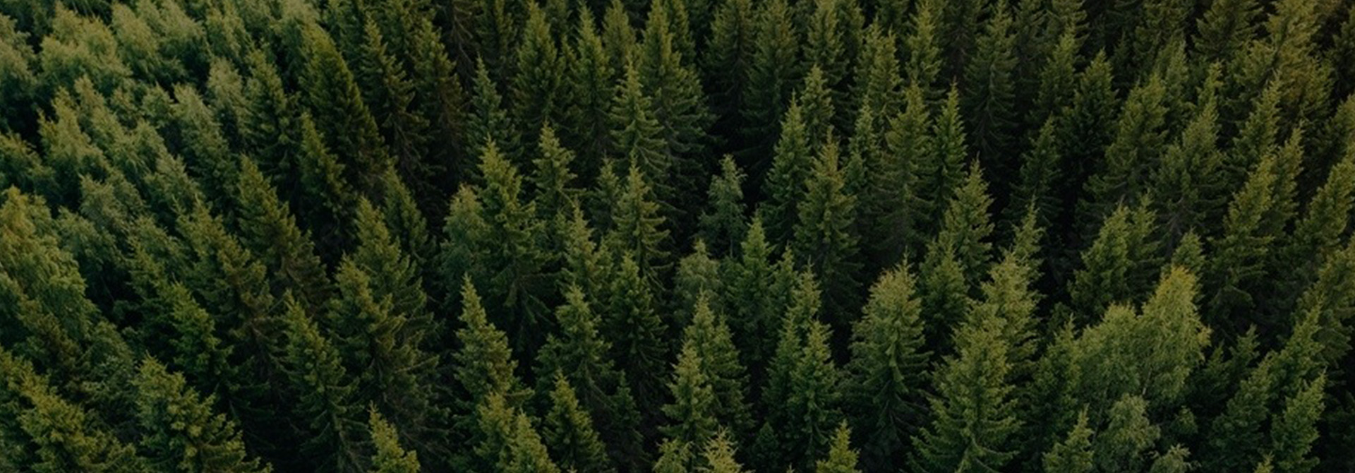 Eco-friendly printing for conserving Earth Eco-friendly printing for conserving Earth