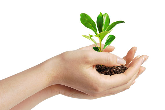 Preserving the planet with an eco-friendly product Preserving the planet with an eco-friendly product