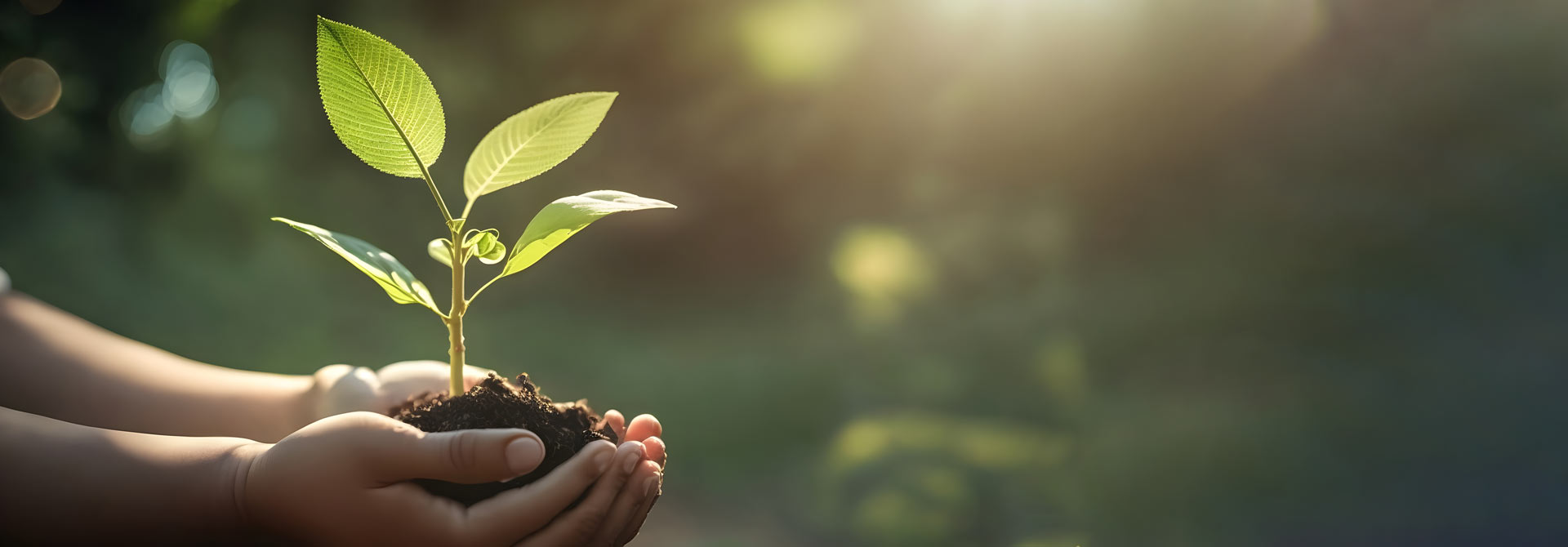 Eco-friendly product contributing to conserving Earth Eco-friendly product contributing to conserving Earth