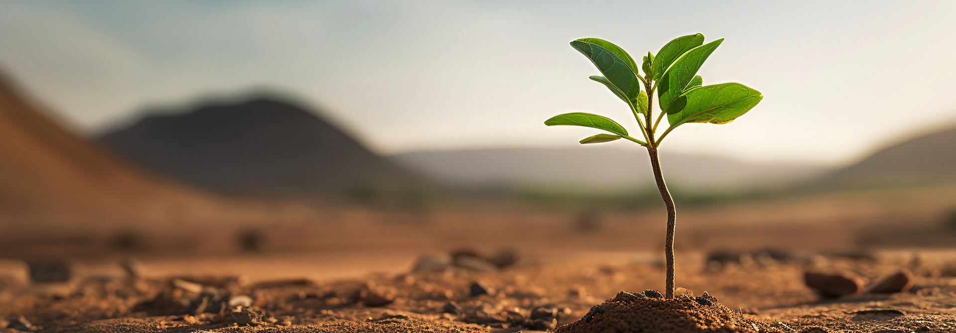 Be Eco-friendly and Conserve Earth Be Eco-friendly and Conserve Earth