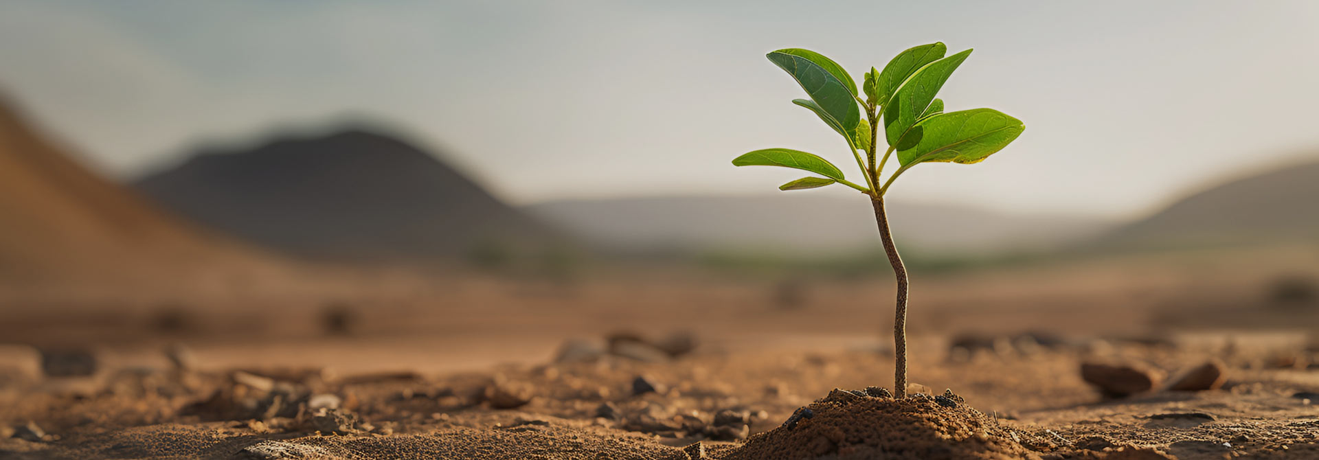 Be Eco-friendly and Conserve Earth Be Eco-friendly and Conserve Earth